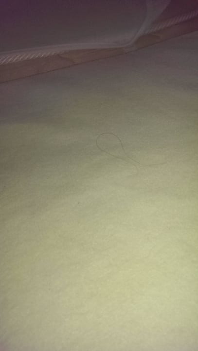 Haare  Park Hotel Golden Beach