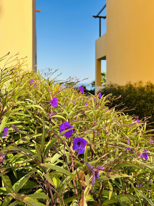 Außenansicht Hotel Horizon Beach Resort