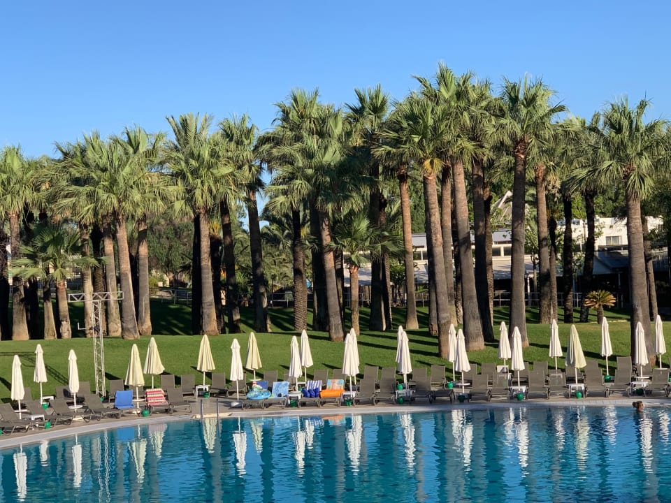 Pool Monachus Family Resort Sorgun