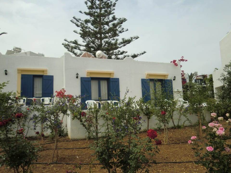 Garten mit Blick auf die Bungalows TUI SUNEO Chrissi Amoudia