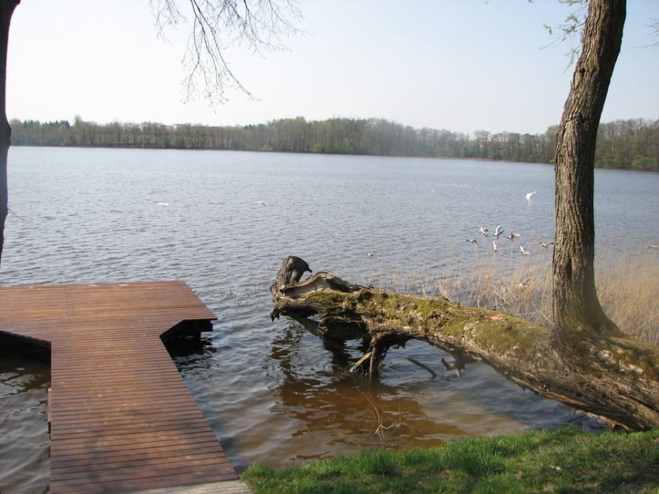 Spacer nad jeziorem. Hotel Solar Palace Spa & Wellness