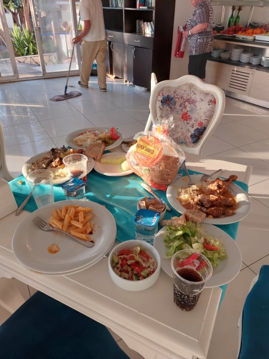 Gastro Clover Magic Nova Beach
