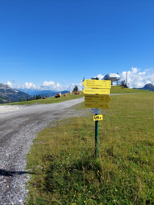 Ausblick Kinderhotel Waldhof