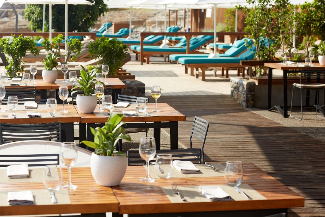 Gastro Vincci EverEden