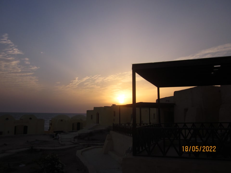 Ausblick The Oasis Dive Resort