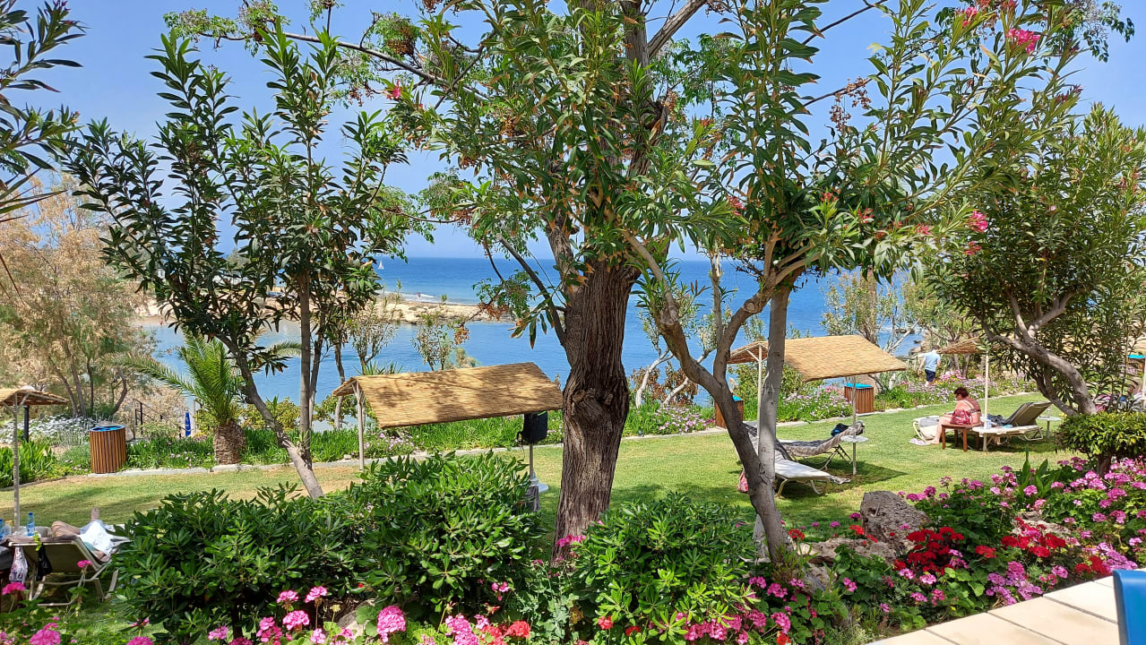 Ausblick Crystal Springs Beach Hotel