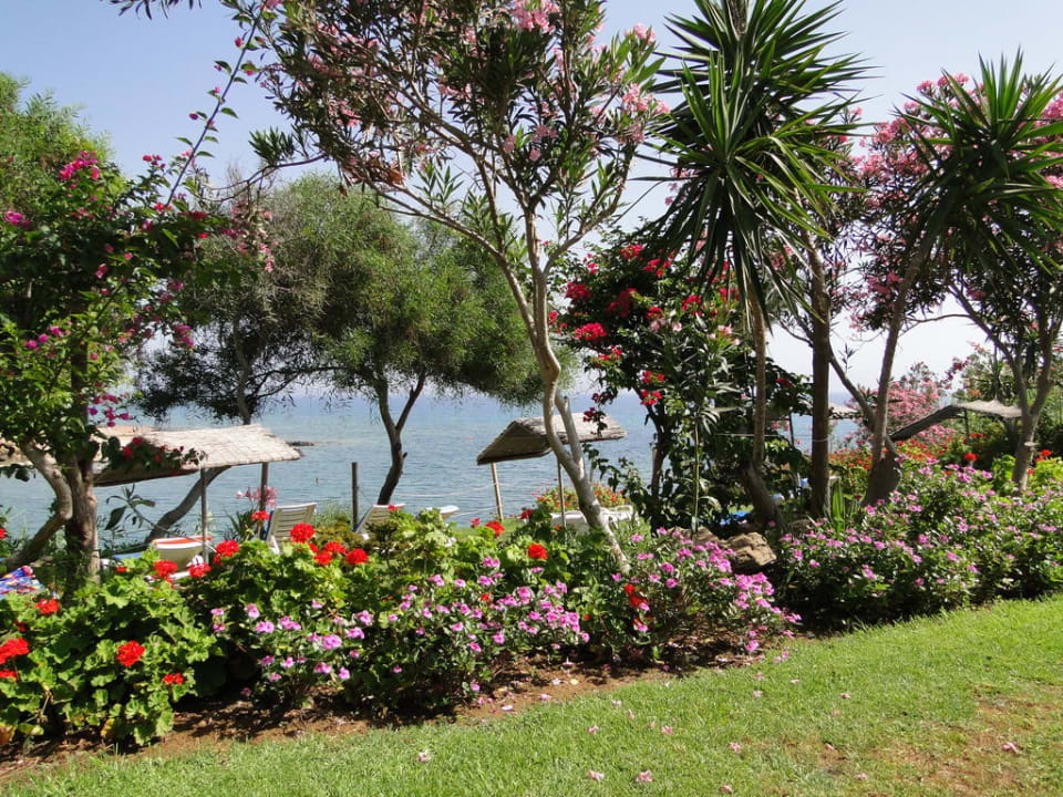 Crystal Springs Beach Hotel Crystal Springs Beach Hotel