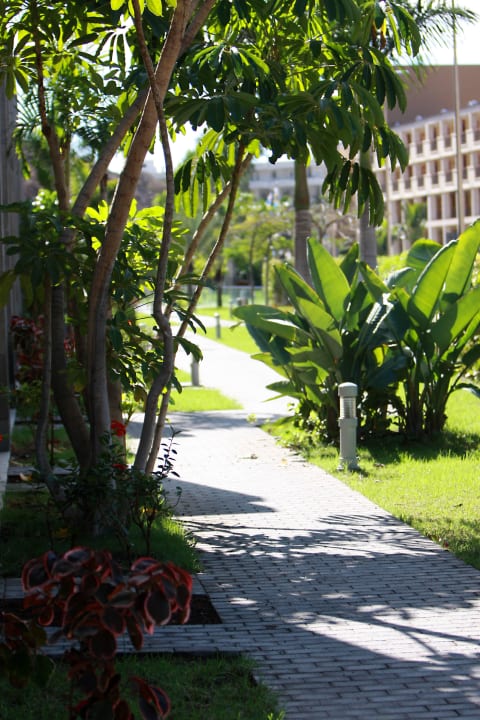 Hotel Paradise Costa Taurito LIVVO Costa Taurito