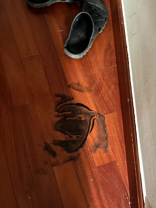 Zimmer Grand Hotel Adriatic I + II