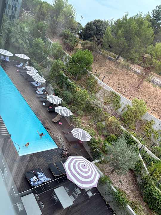 Pool Moxy Sophia Antipolis