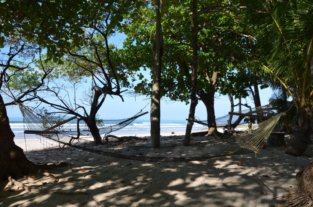 Hängematten am Strand Hotel Tropico Latino