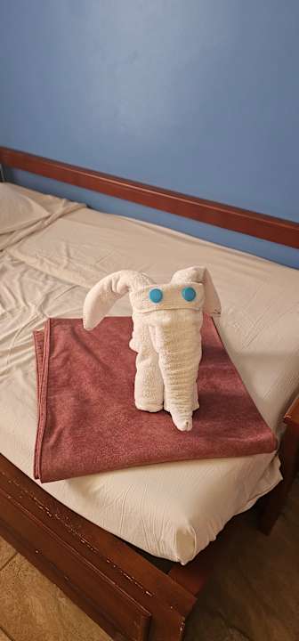 Zimmer Parrotel Aqua Park Resort