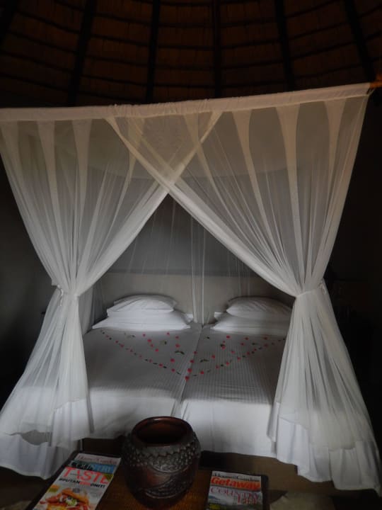 Bett Motswari Private Game Reserve & Geiger's Camp