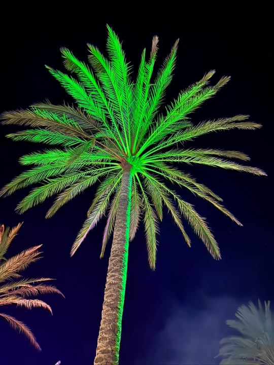 Gartenanlage Iberostar Waves Gaviotas Park