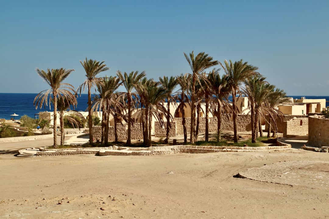 Strand The Oasis Dive Resort