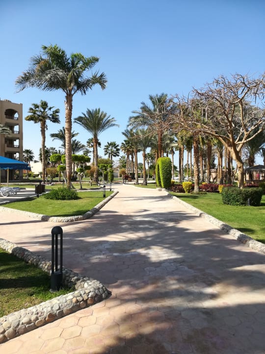 Gartenanlage Continental Hotel Hurghada