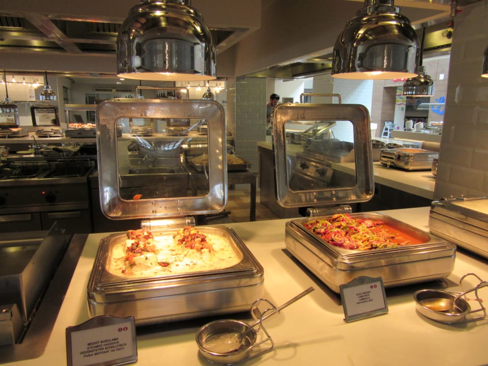 Gastro Lara Barut Collection