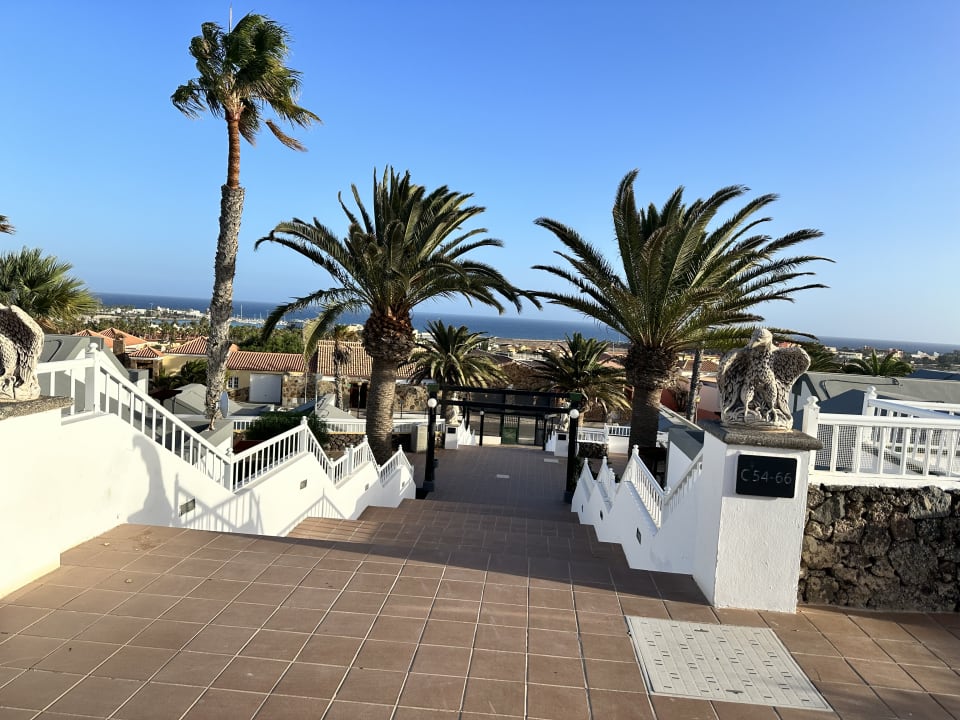 Ausblick MP Club Caleta Dorada