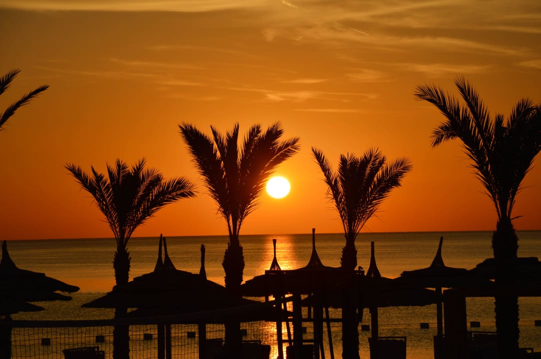 Sonnenaufgang Beach Albatros Resort