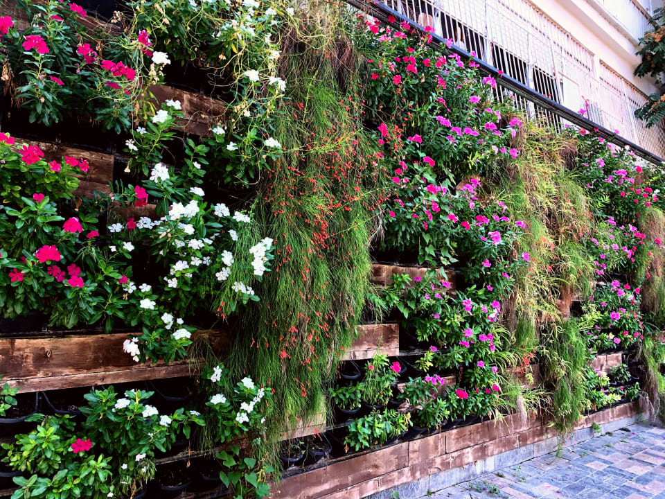 Gartenanlage Alp Pasa Hotel - Special Class