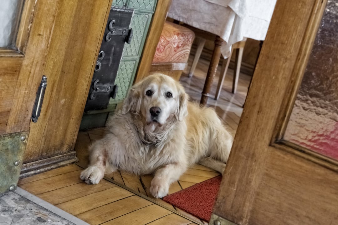 Sonstiges Emma Historic Hotel