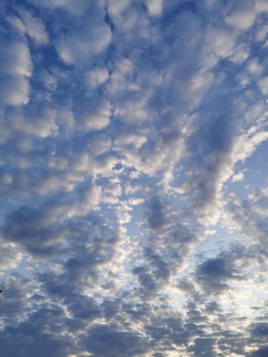 Ausblick Vila Vita Burghotel Dinklage