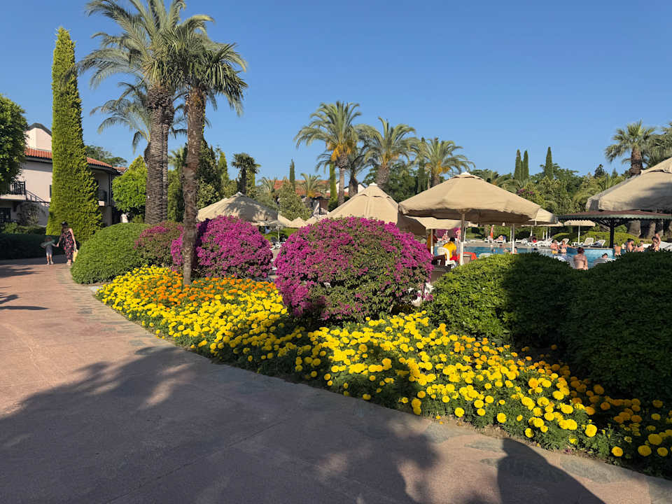 Gartenanlage Starlight Resort Hotel