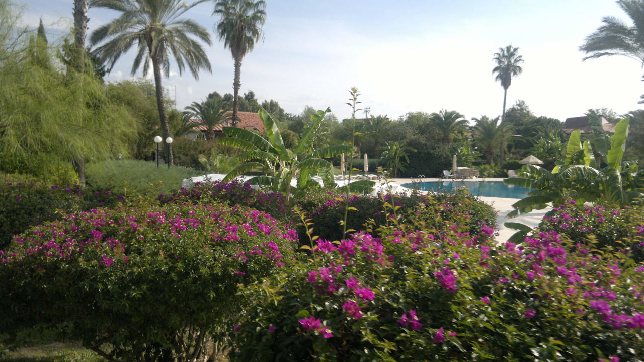 Ogród Starlight Resort Hotel