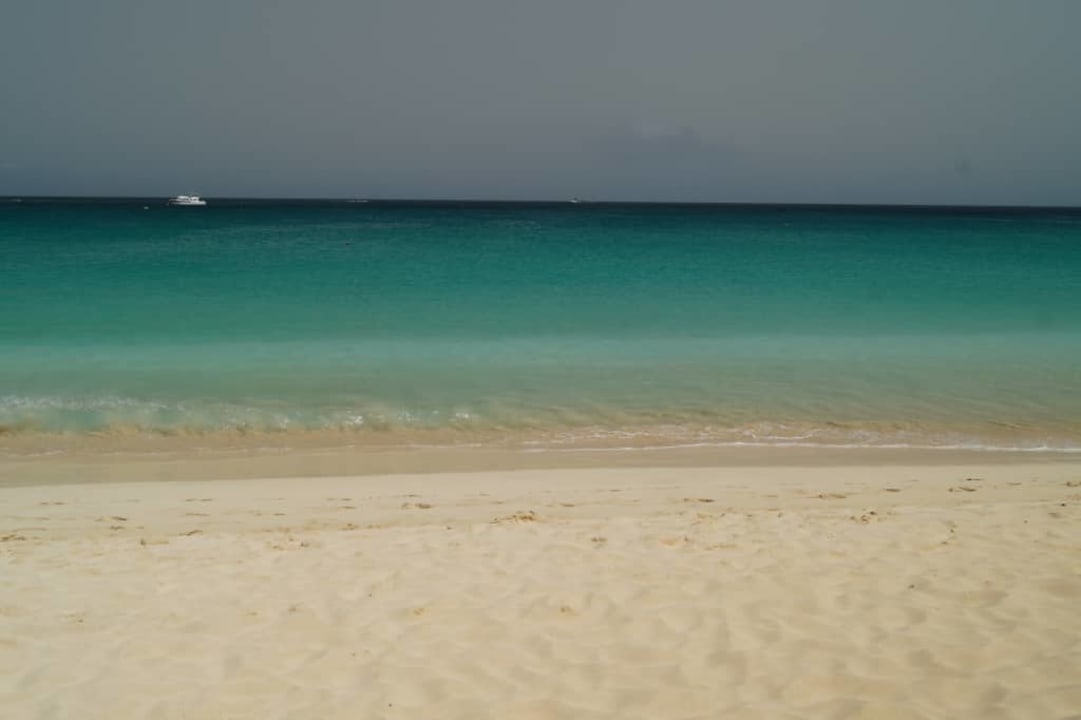 Turkusowa barwa oceanu Oasis Salinas Sea