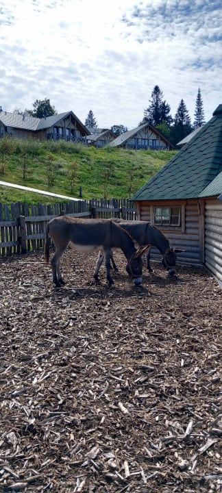 Sport & Freizeit The Grand Green - Familux Resort