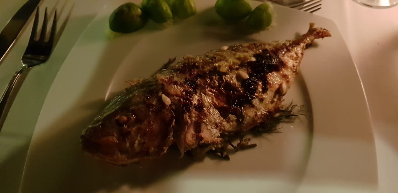 Gastro Shams Prestige Abu Soma-Adults Only