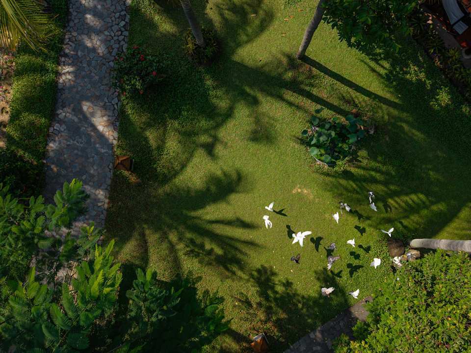 Gartenanlage Seahorse Resort & Spa