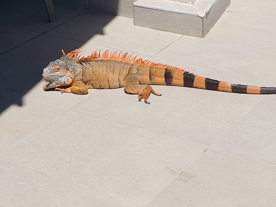 Sonstiges Belek Beach Resort Hotel