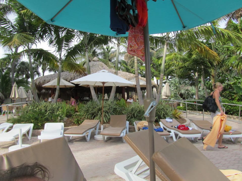 Gartenanlage Hotel Riu Plaza Miami Beach