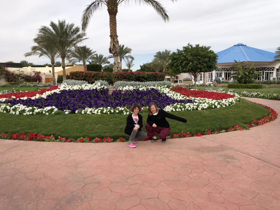 Gartenanlage Desert Rose