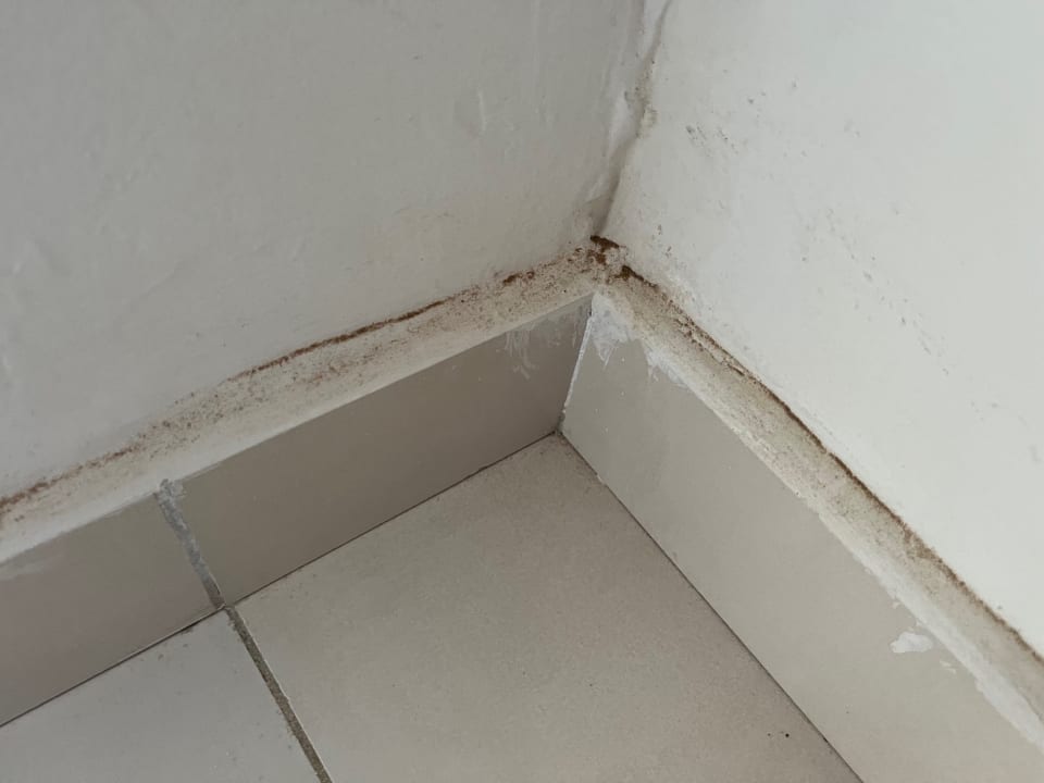 Zimmer TUI MAGIC LIFE Penelope Beach