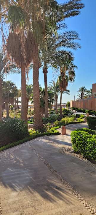 Gartenanlage Club Paradisio El Gouna, Red Sea