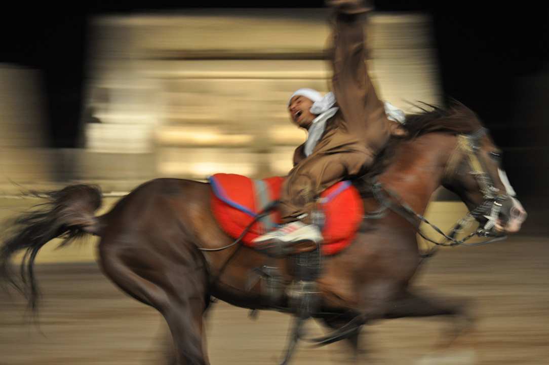 Horse show Pickalbatros Alf Leila Wa Leila Resort - Neverland Hurghada