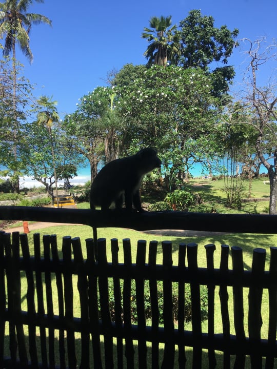 Zimmer Baobab Beach Resort & Spa