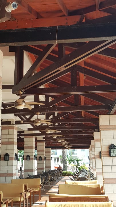 Vogelkot  Salamis Bay Conti Resort Hotel & Casino