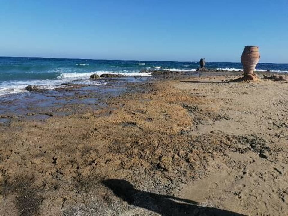 Strand allsun Hotel Carolina Mare