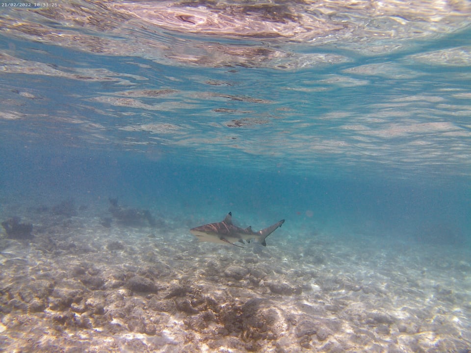 Sport & Freizeit Adaaran Select Hudhuran Fushi - Premium All Inclusive