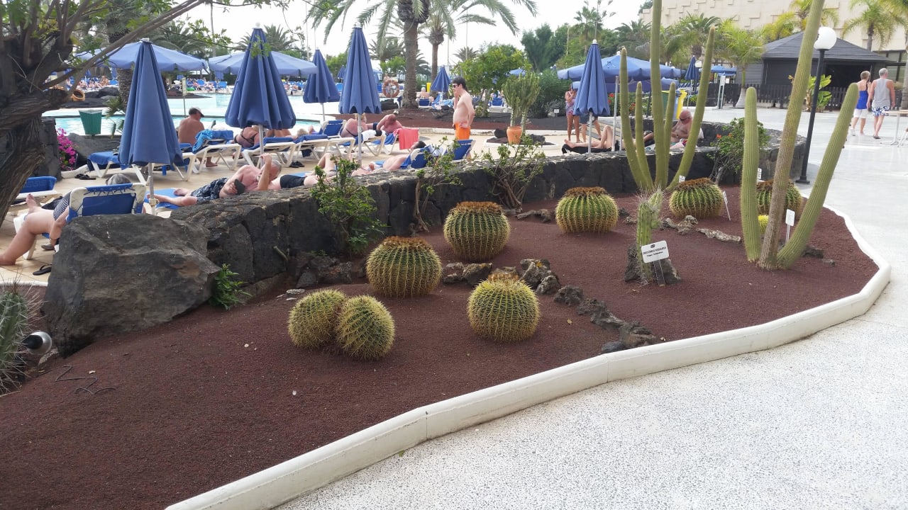 Gartenanlage Hotel Grand Teguise Playa