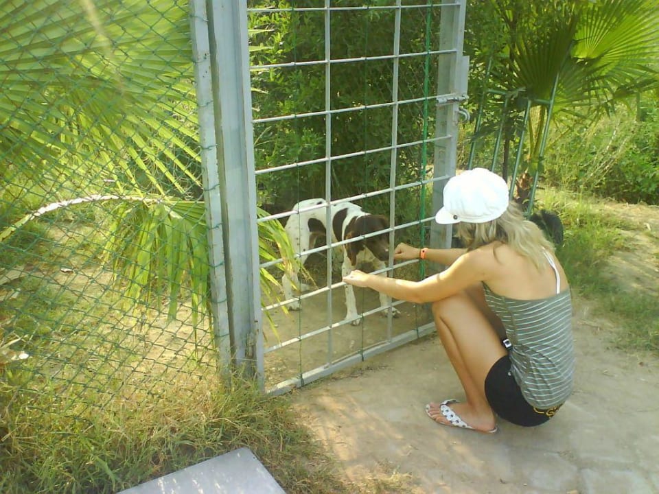Ich bin "böse" Hotel Orfeus Park