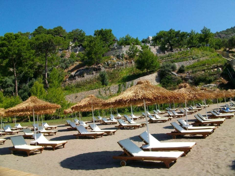 Feinsandstrand TUI BLUE Seno - Adults Only