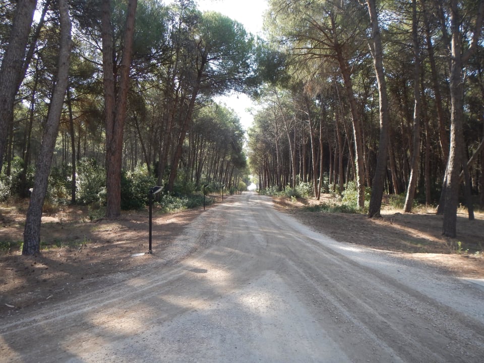 Weg zum Strand TH Marina di Pisticci | Ti Blu Village