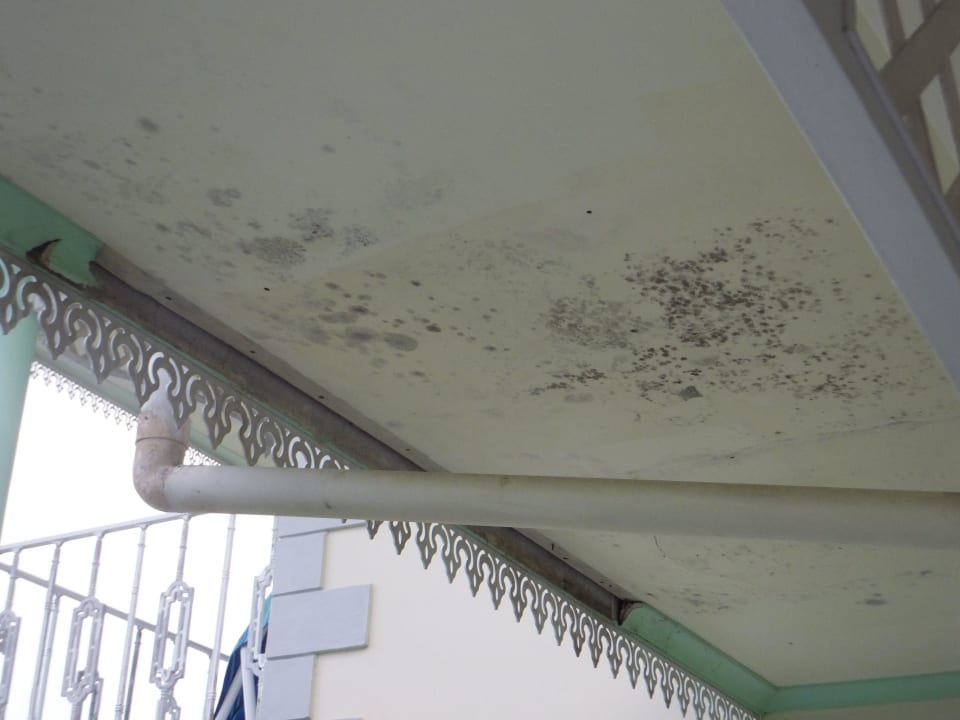 Balkon Zimmer Nr.8 Hotel Palm Beach