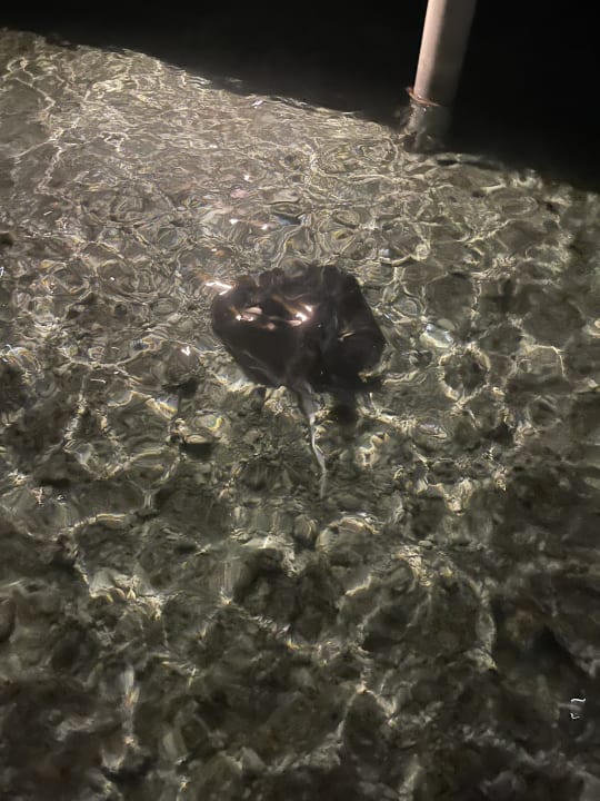 Strand Adaaran Select Hudhuran Fushi - Premium All Inclusive