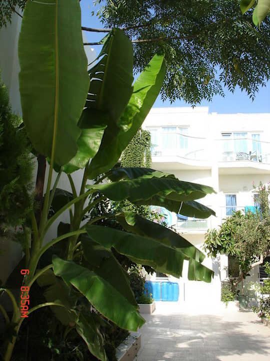 Hotel Turihan Hotel Turihan