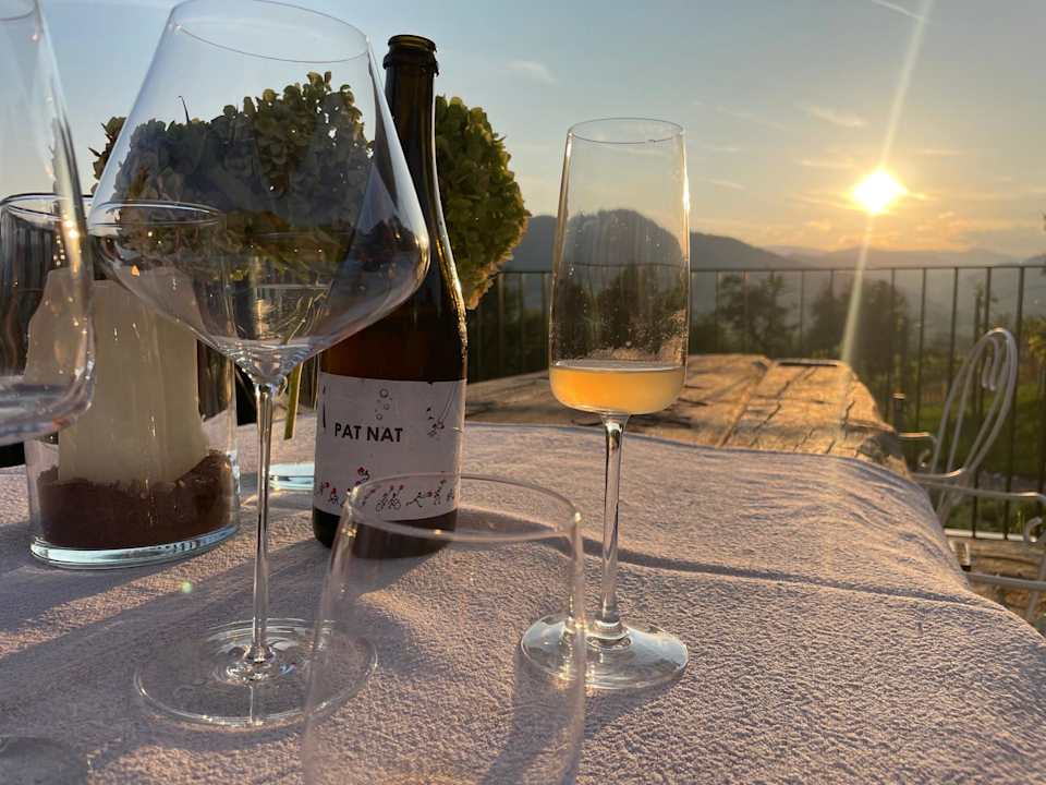 Ausblick Am Wildbachberg - Luxus Ferienhäuser mit Infinitypool, Privatsauna und Weinkeller